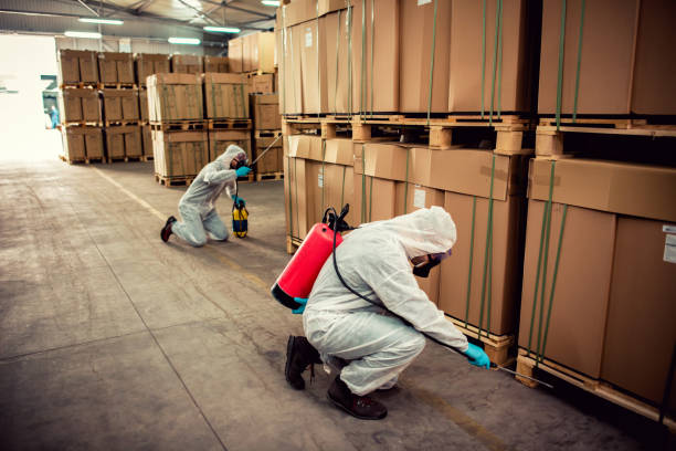 Best Best Pest Control Companies  in Wellington, TX
