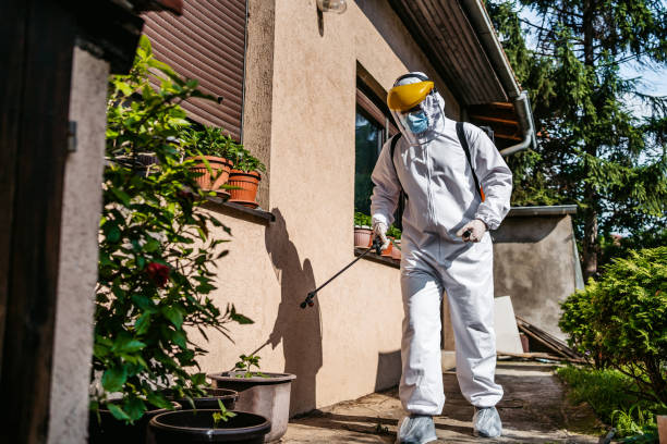 Best Pest Control for Businesses  in Wellington, TX