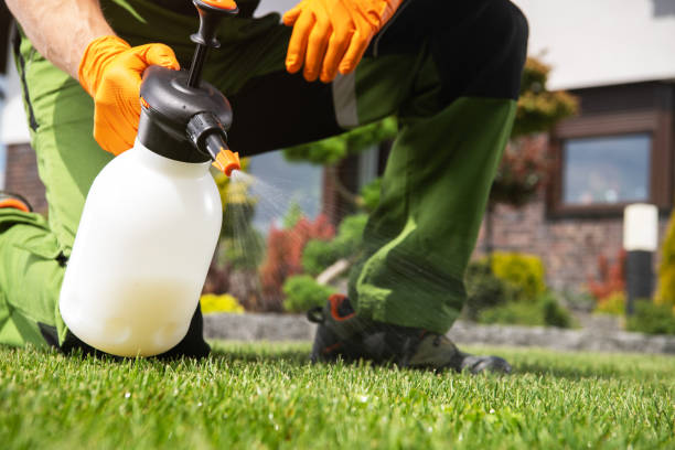 Best Residential Pest Control  in Wellington, TX