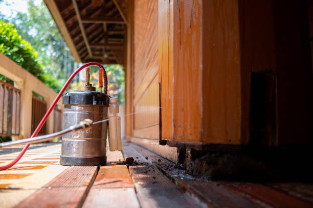 Best Cockroach Control Services  in Wellington, TX