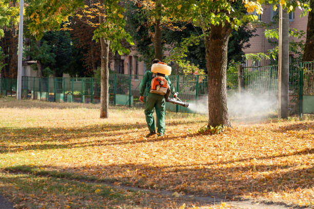 Pest Control for Restaurants in Wellington, TX