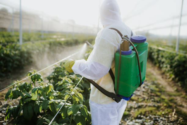 Best Commercial Pest Control Services  in Wellington, TX